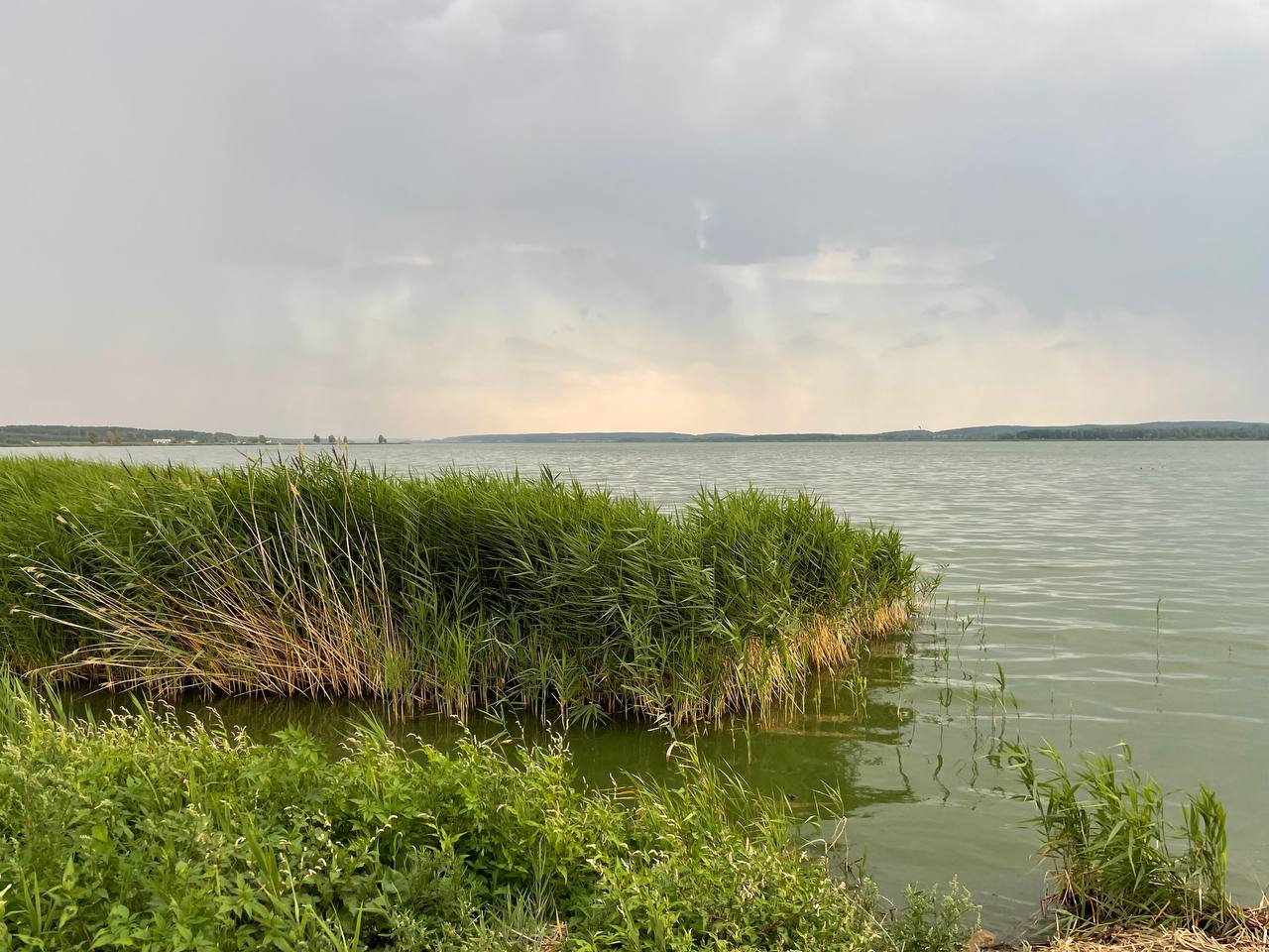 photo 2026 08 01 20 46 36