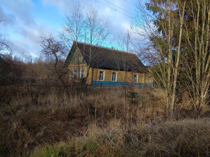 Ждановка