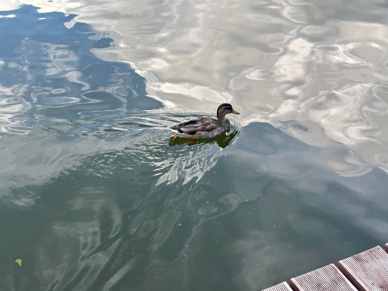 photo 2026 09 12 19 00 14