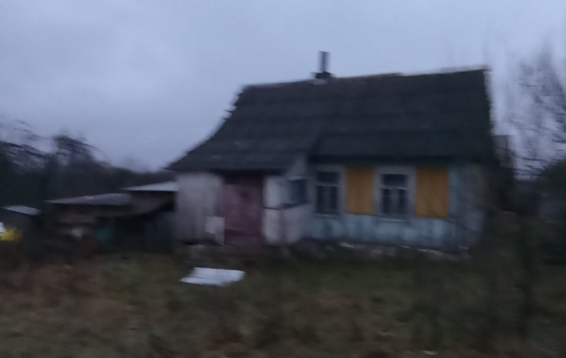 большая мысса