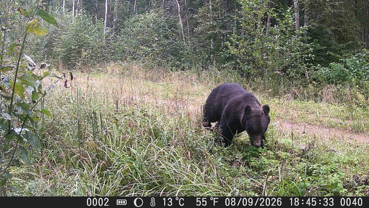 photo 2026 09 10 11 16 15