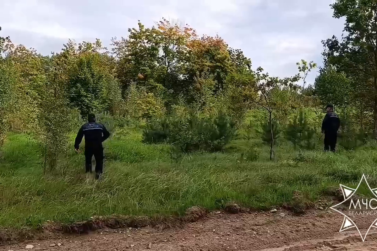 поиск детей