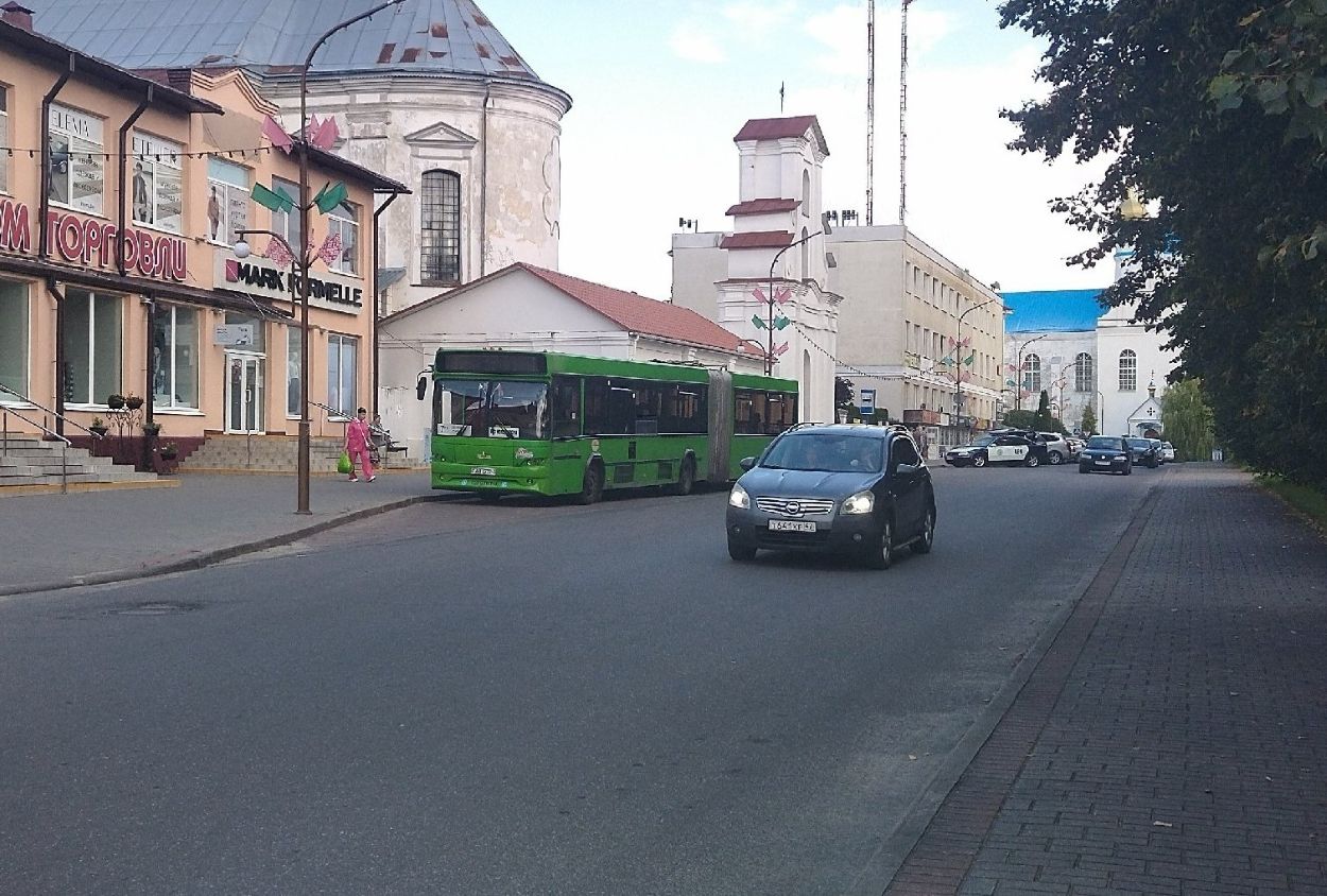 автомобиль слоним