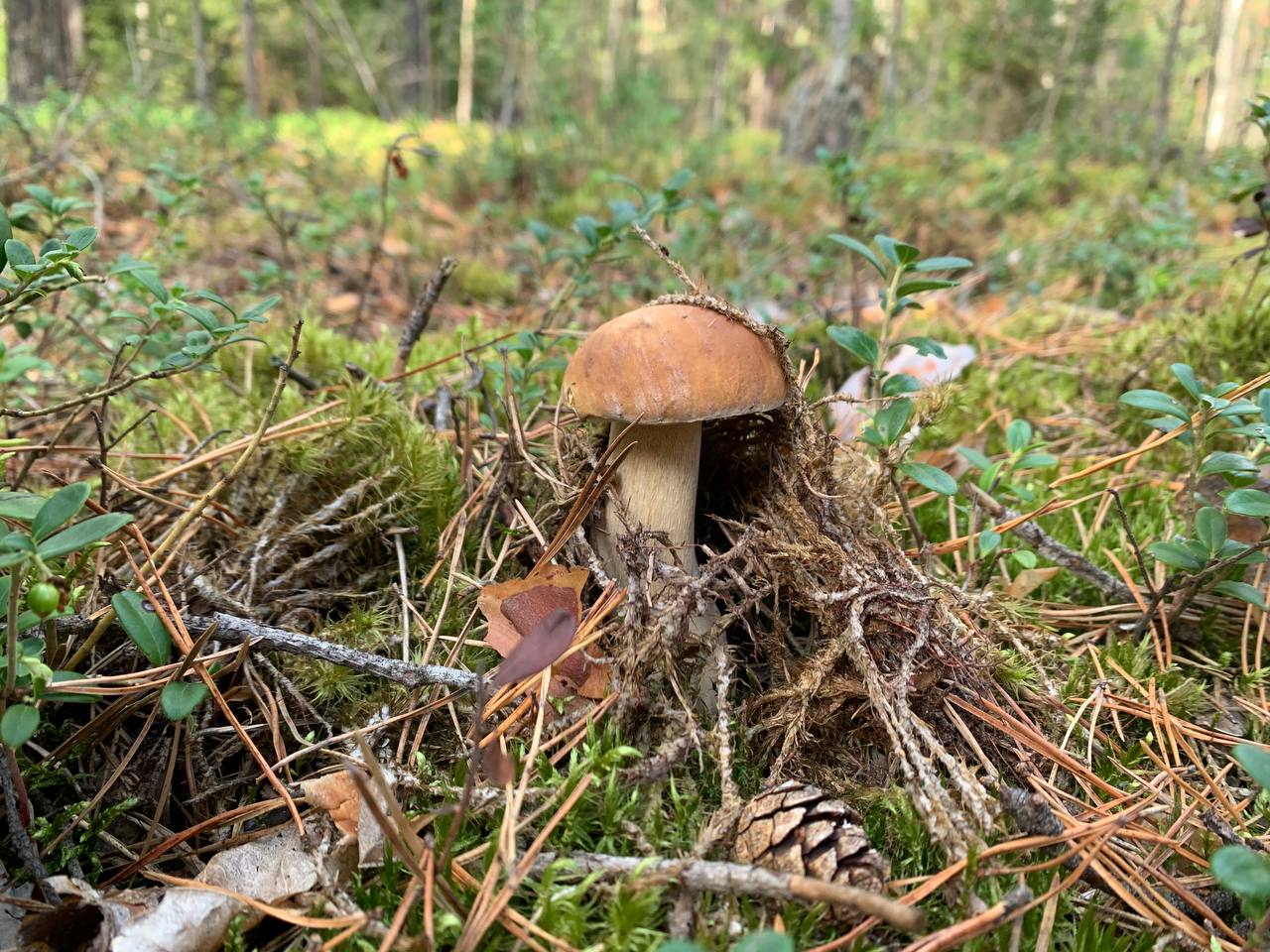 photo 2026 09 13 19 18 49