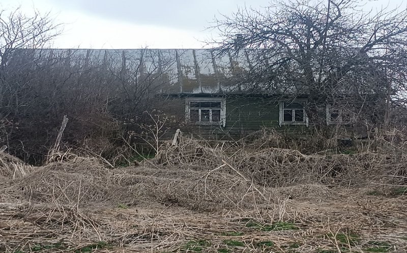 хоросица