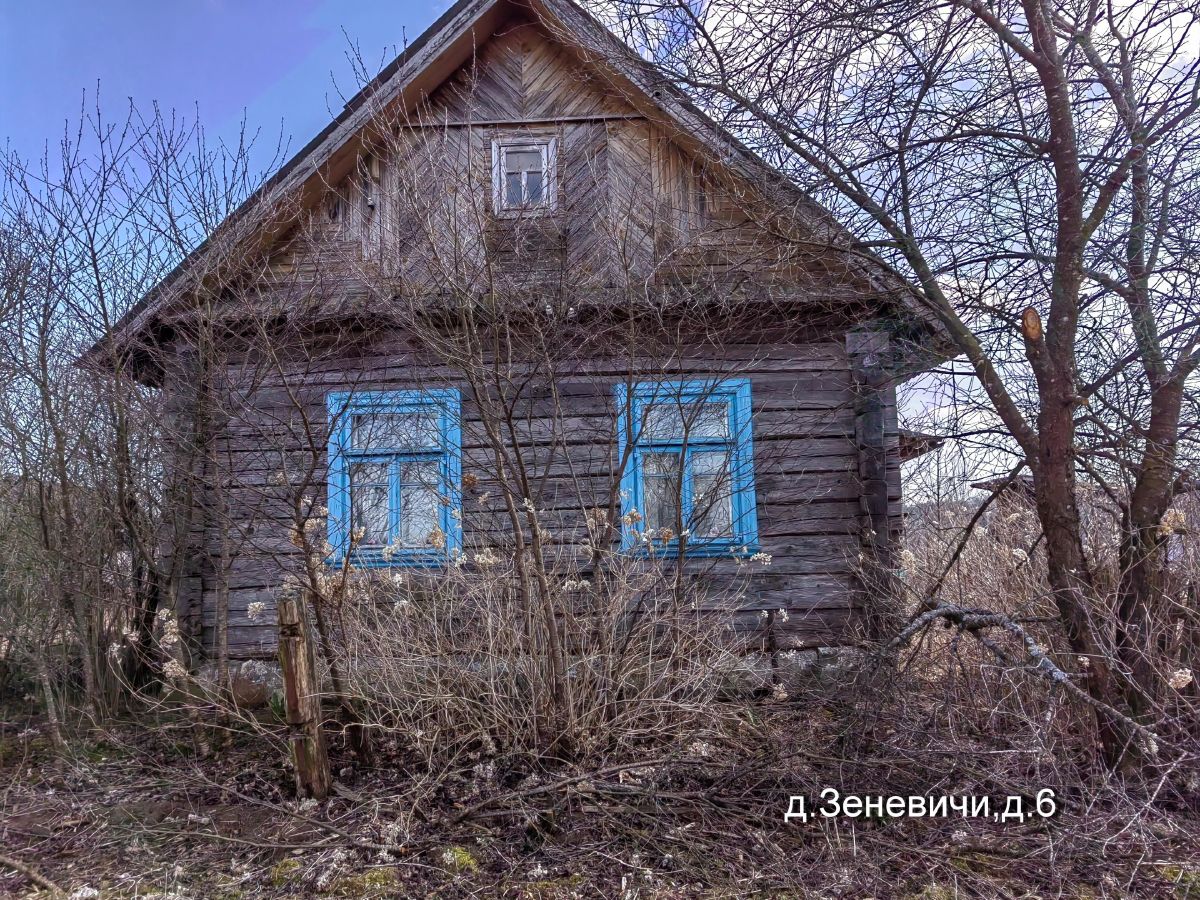 зеневичи