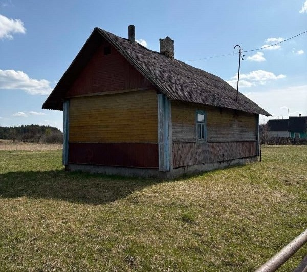микелевщина