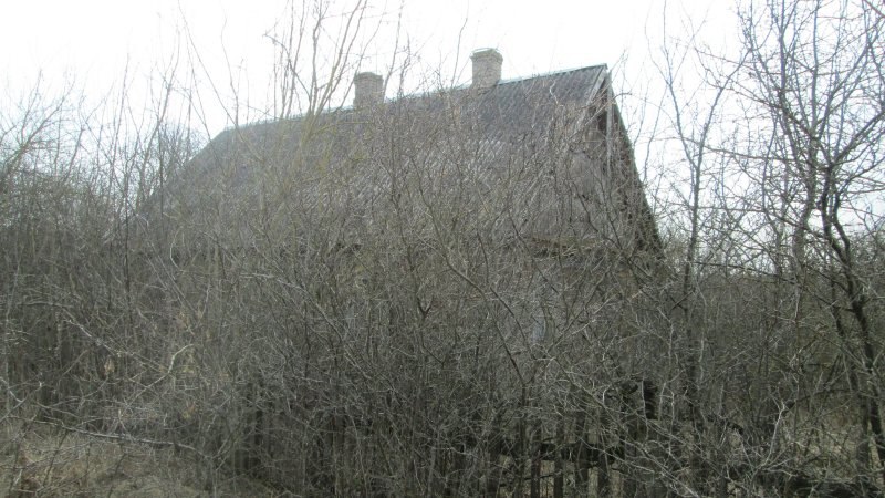 тереховичи 3