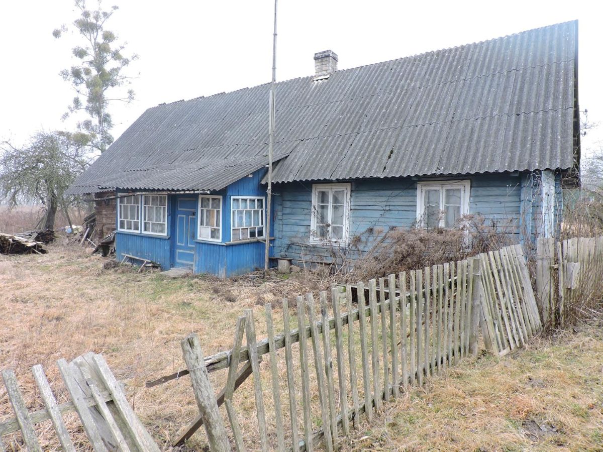 гинели