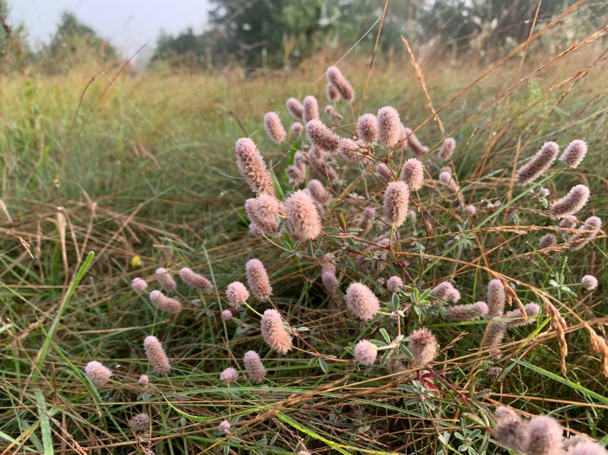 photo 2026 09 14 09 36 03