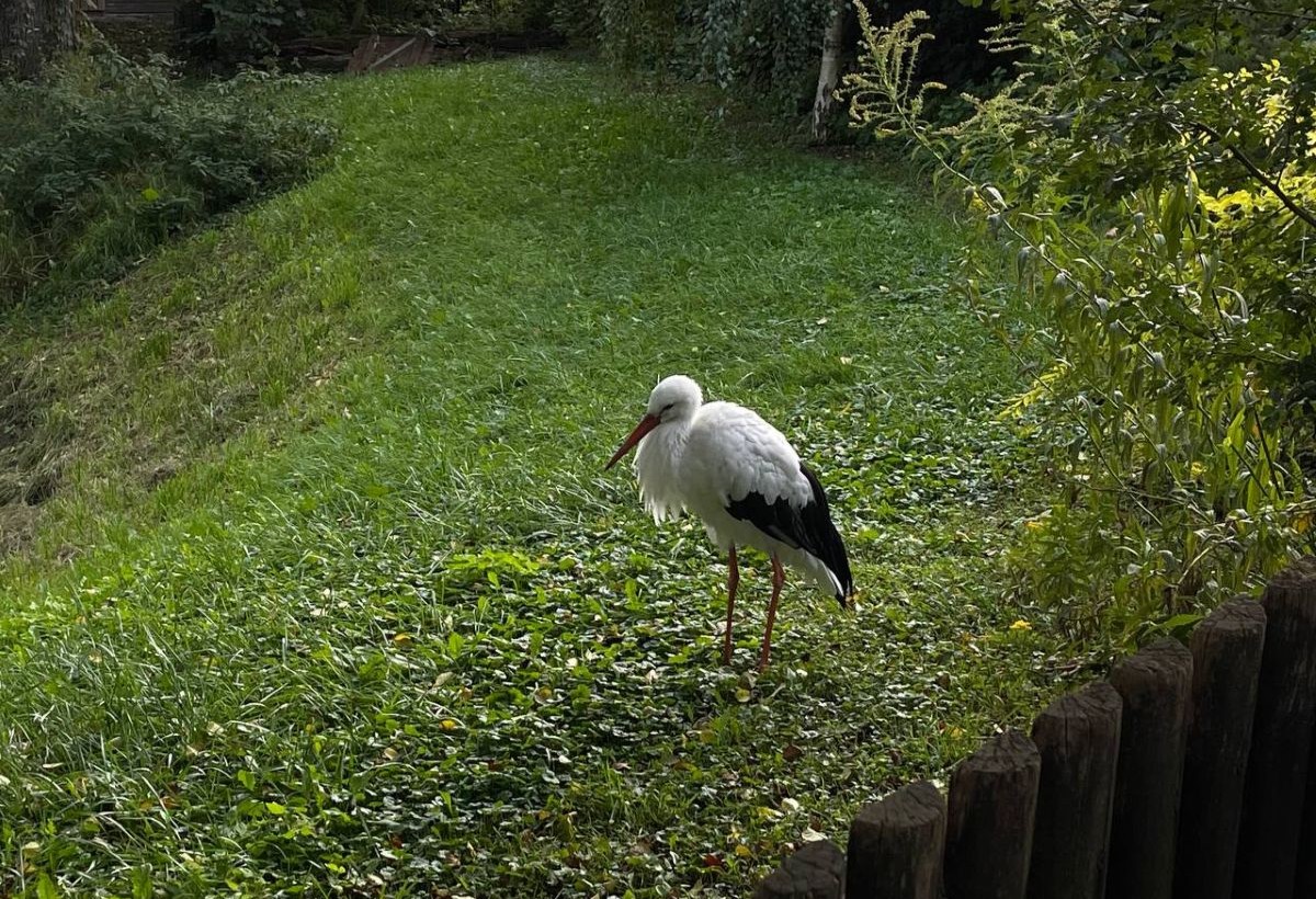 photo 2026 09 28 21 03 37