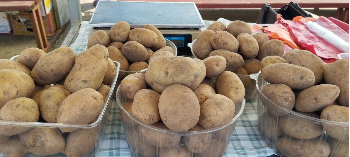 картофель