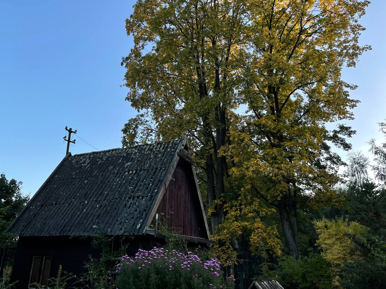 photo 2026 09 28 21 03 39