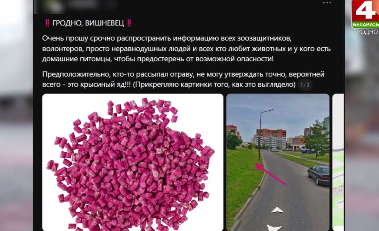 скрин