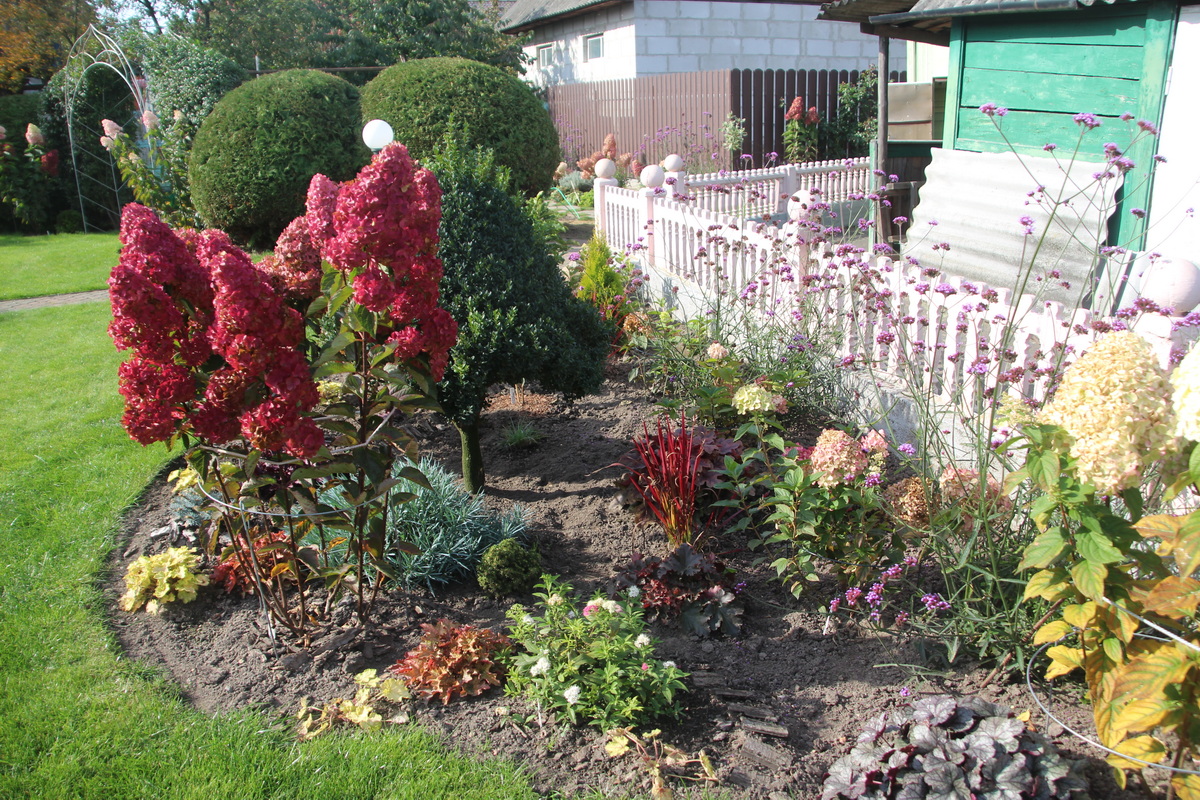 IMG_4330_2
