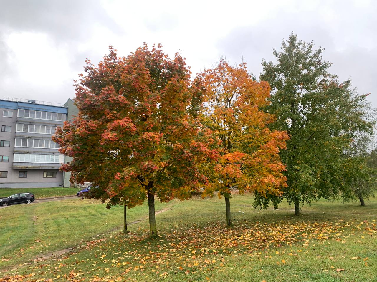 photo 2026 10 13 11 49 41