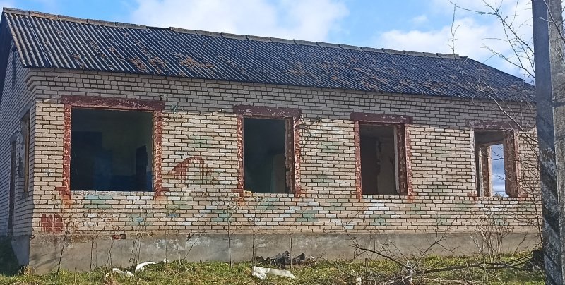 завишино