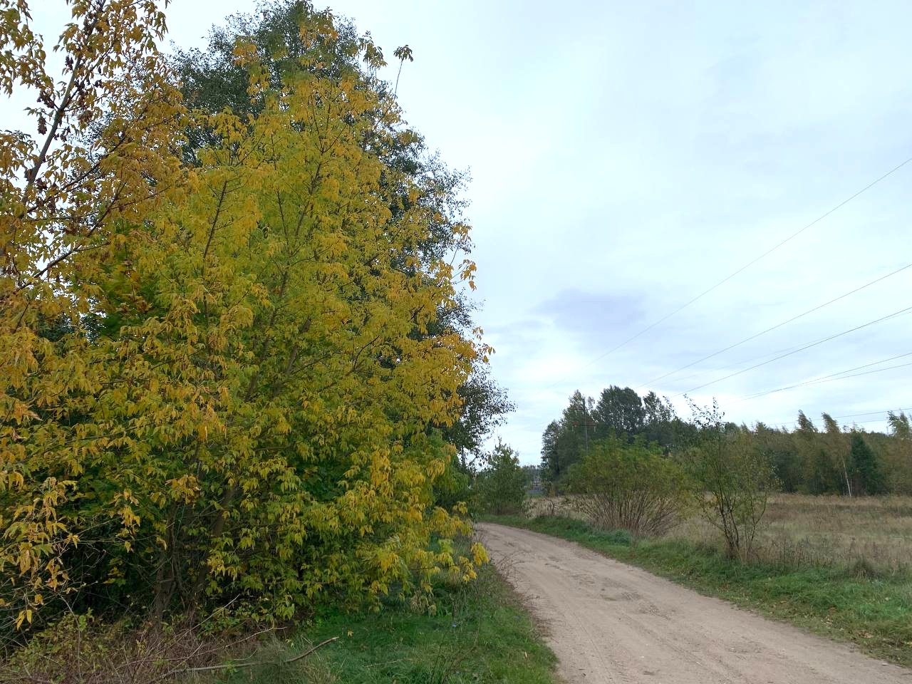 photo 2026 10 14 12 32 33