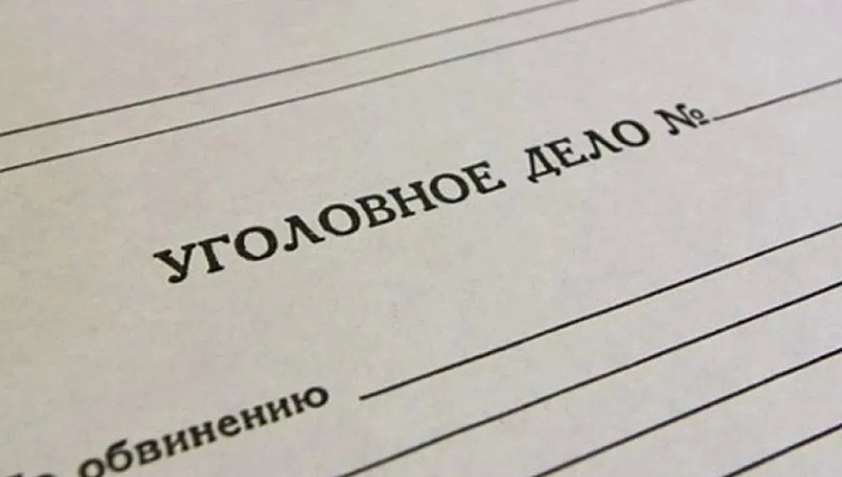 уголовное дело