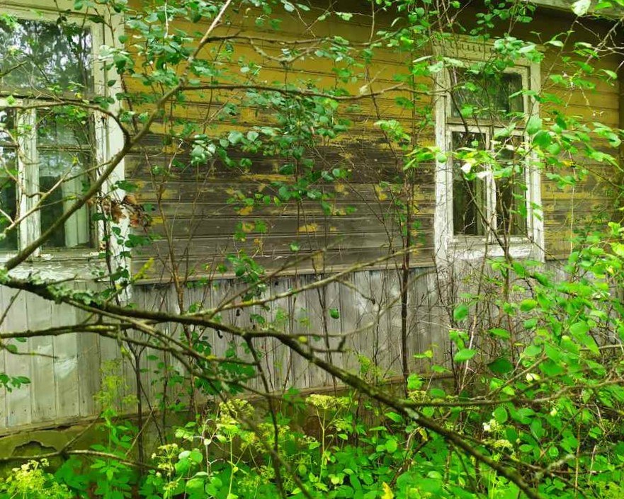 александровичи 33