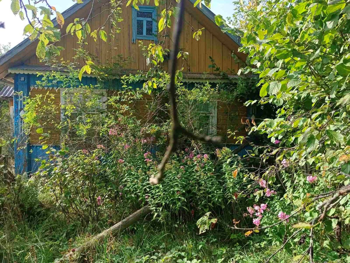 обельковичи