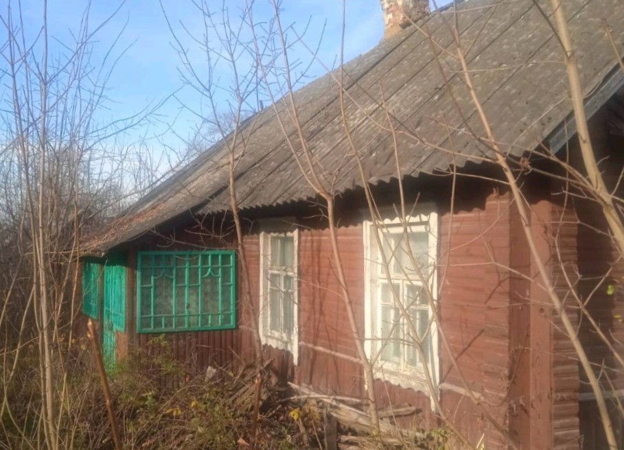 торкачи.jpg