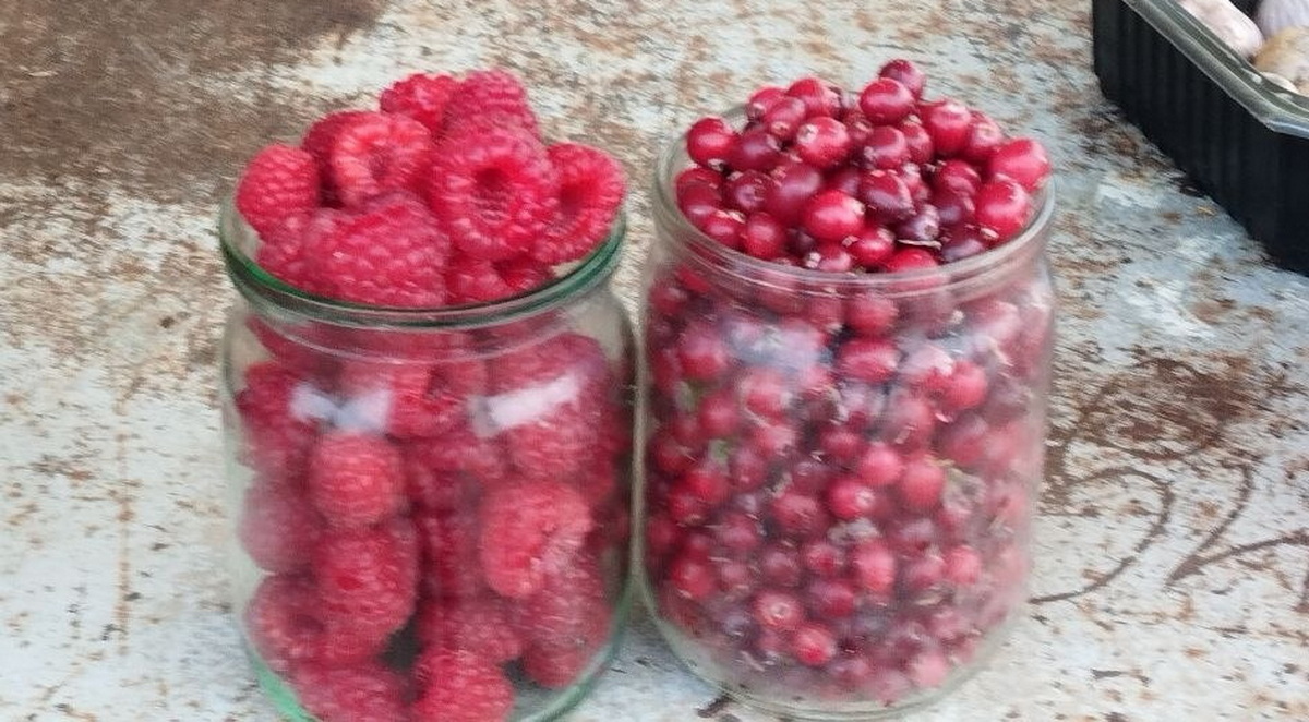 малина и клюква