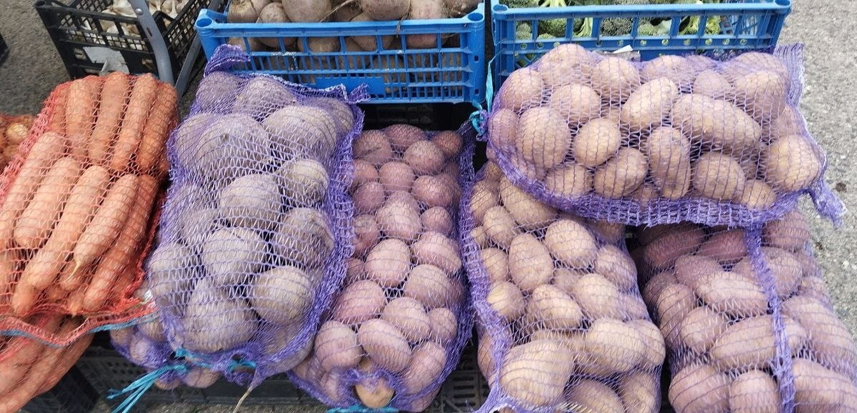картофель