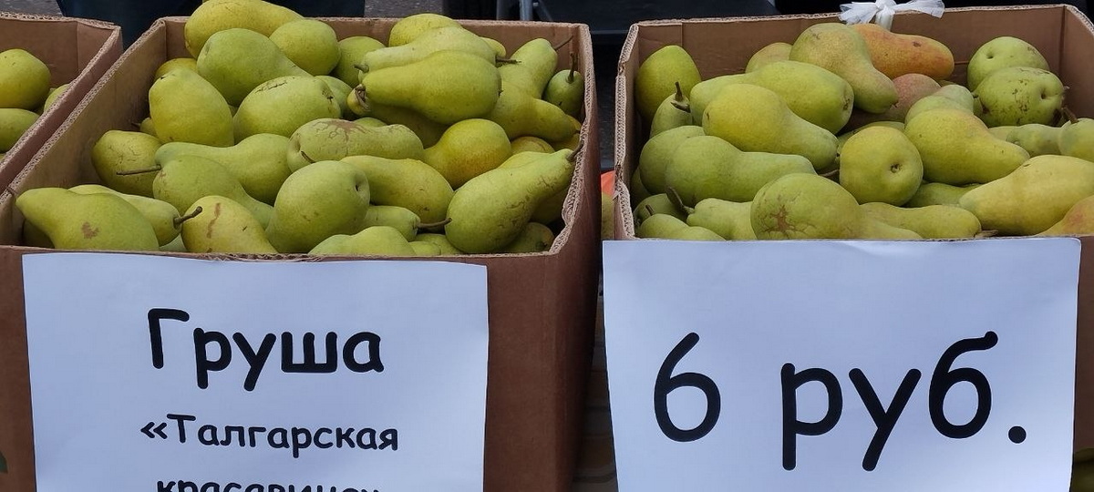 груши
