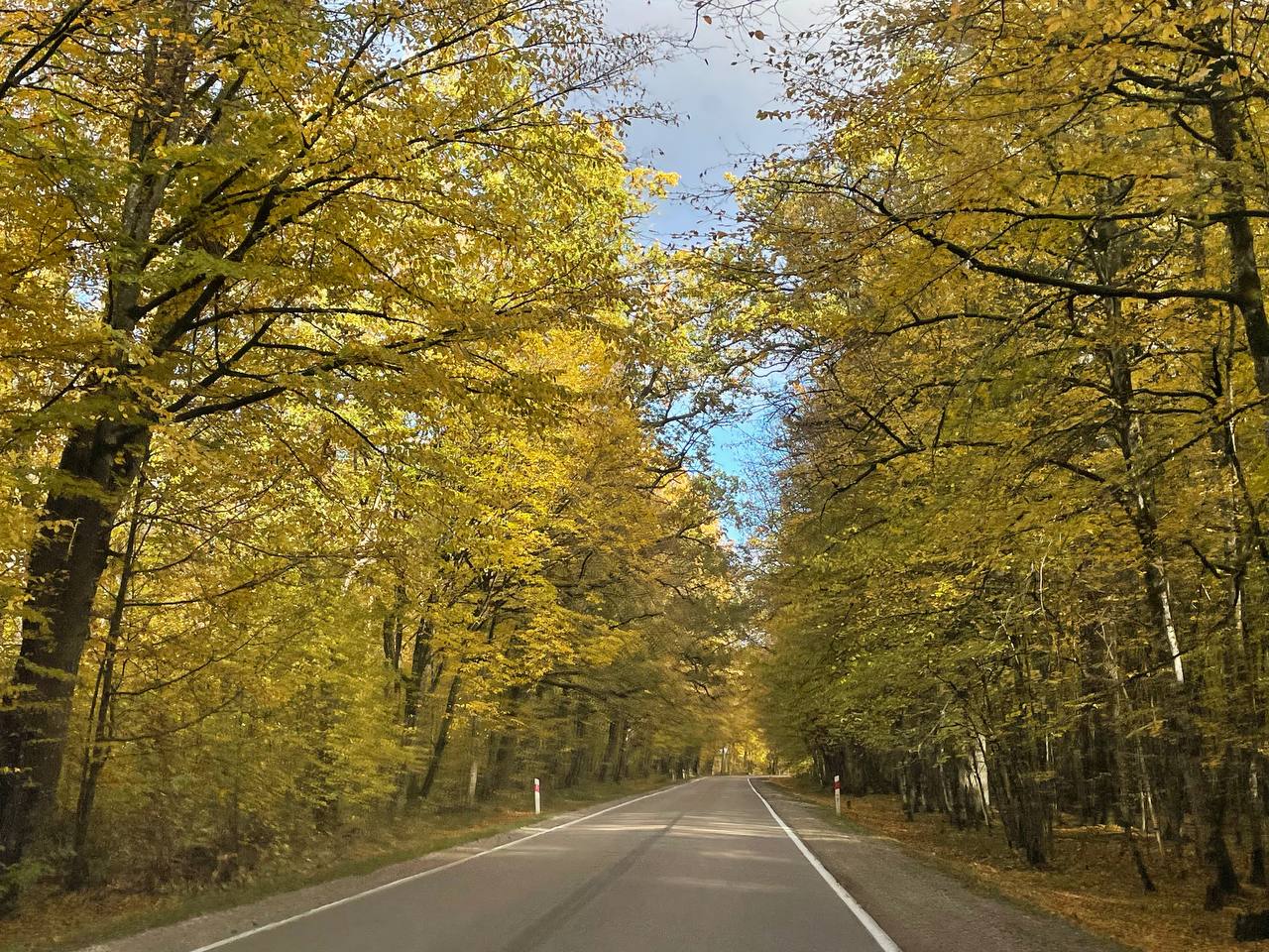осень