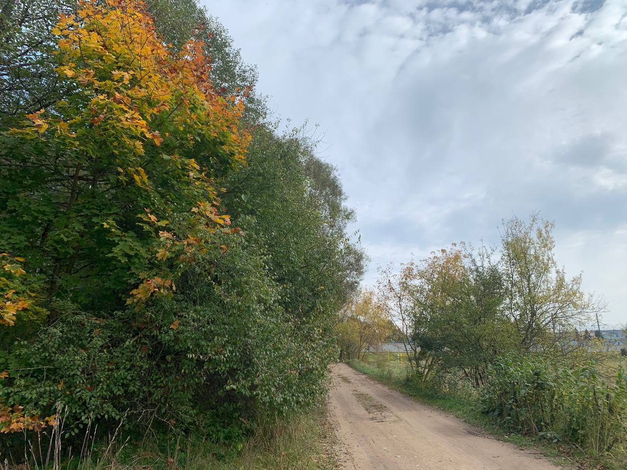 photo 2026 10 21 11 37 00