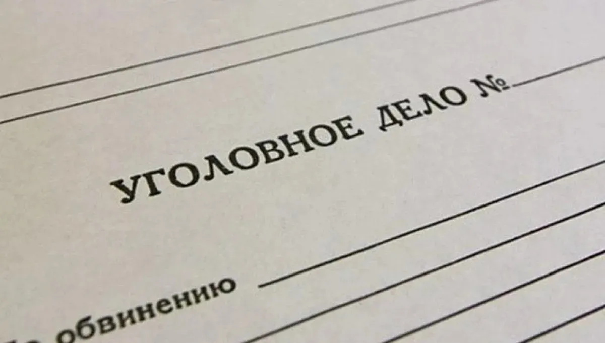 уголовное дело