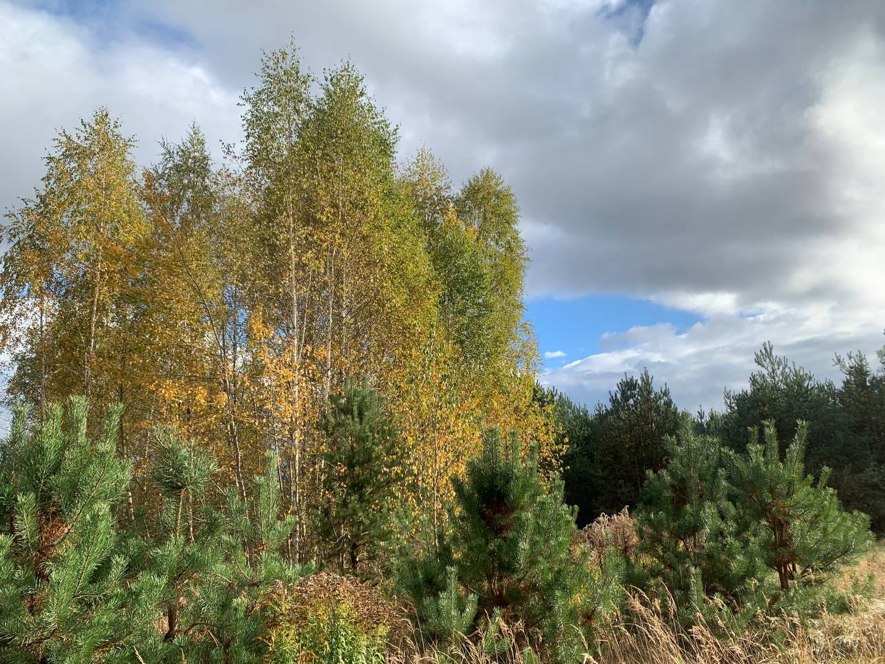 photo 2026 10 27 22 19 48