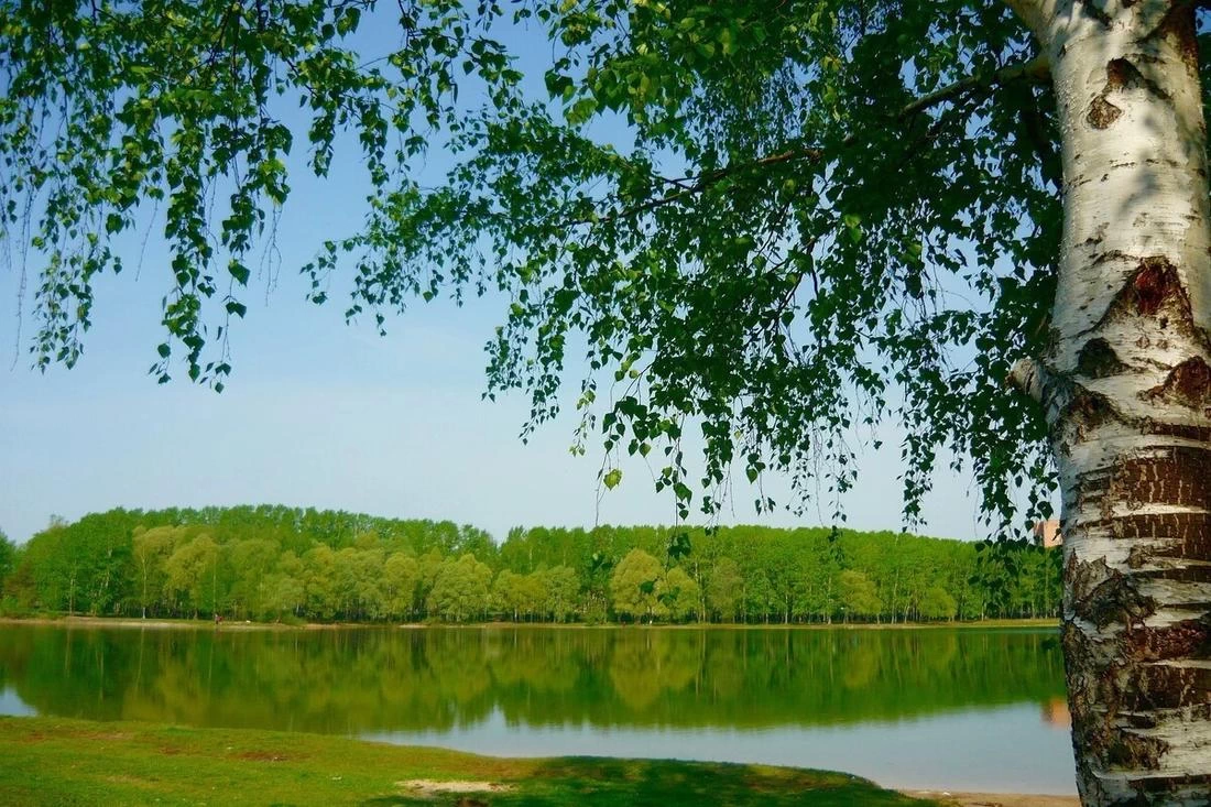 15 июля — день Берегини. Что нельзя делать, чтобы не спугнуть счастье и здоровье