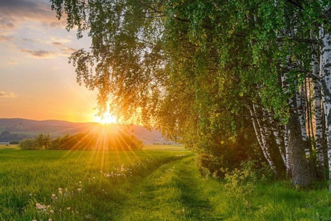 3 сентября — день апостола Фаддея: что важно знать