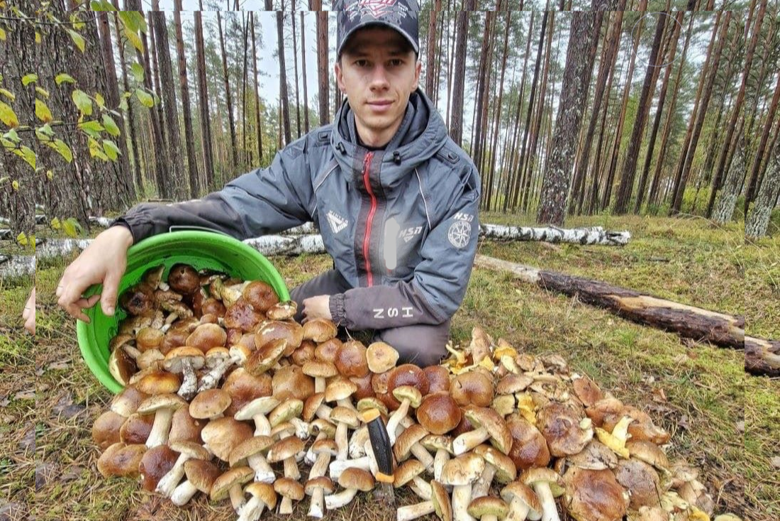 Белорус поставил рекорд: за день собрал 6 ведер грибов, 4 из которых – боровики