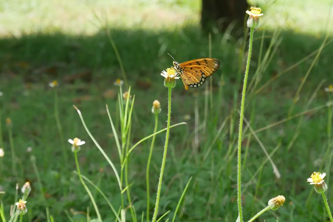 Будет жарко. О погоде на Гродненщине 28-30 августа