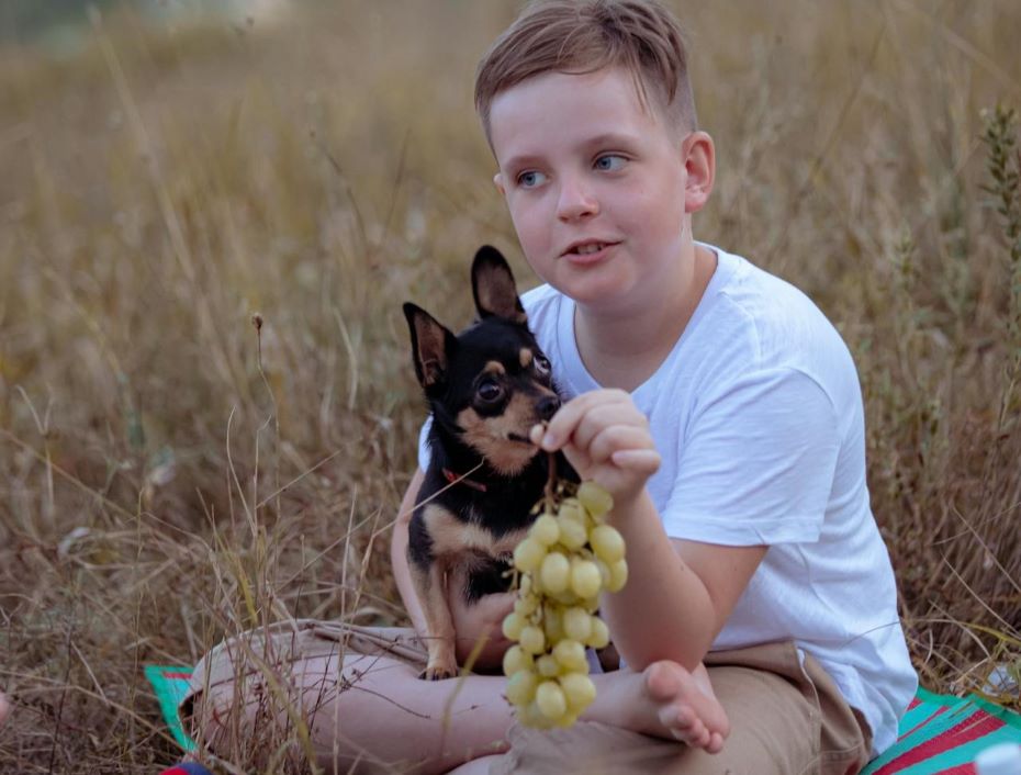 Будьте осторожны: эти 10 продуктов никогда нельзя давать собакам