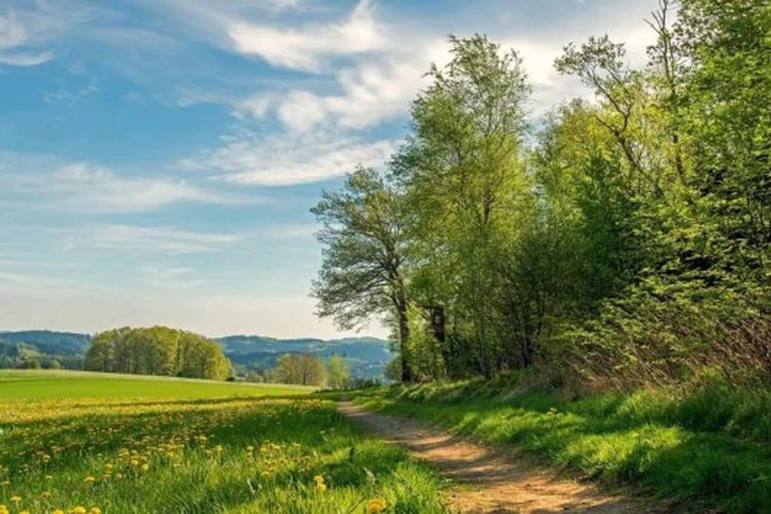 Что нельзя делать в Емельянов день, чтобы не спугнуть удачу и благополучие