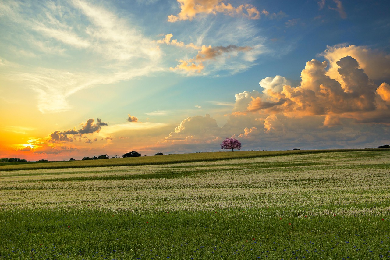Что обязательно нужно сделать 17 мая, чтобы в доме был достаток