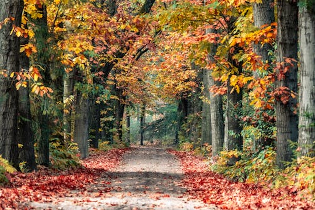 Что сулят приметы 1 ноября: ждать ли суровых морозов
