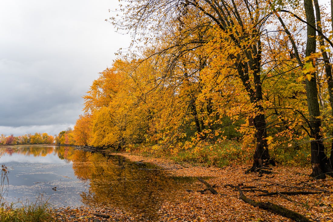 Циклон с Балтики несет плохую погоду. Прогноз на 31 октября – 2 ноября по Гродненской области