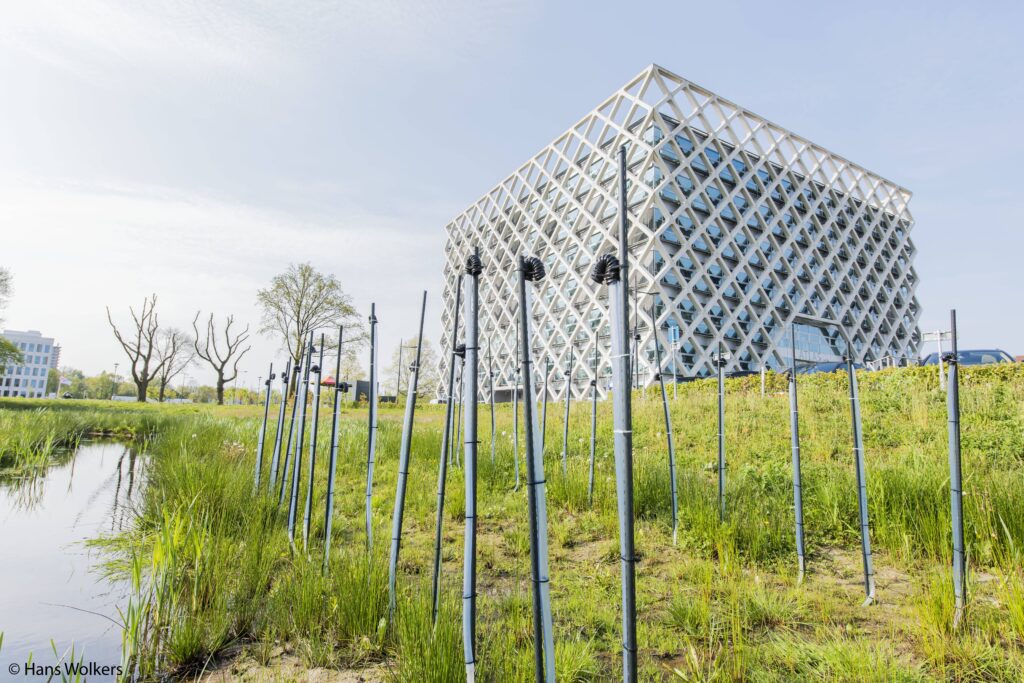 Да, растения дают ток. Нет, это не то, что вы думаете