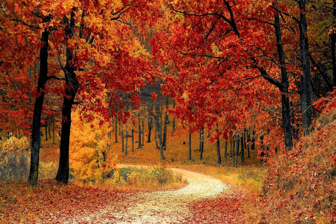 30 сентября — Всесветные бабьи именины: что можно и нельзя делать