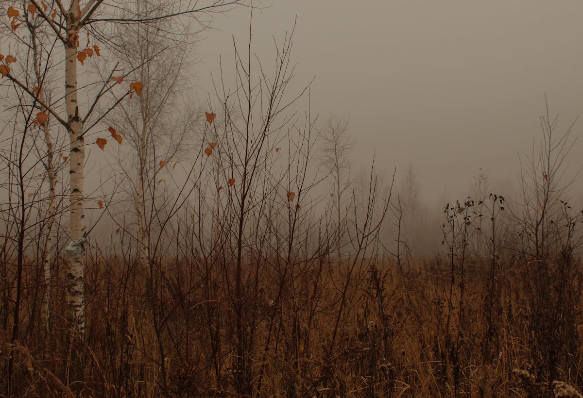 Дожди, местами сильные: о погоде на Гродненщине 8-10 декабря