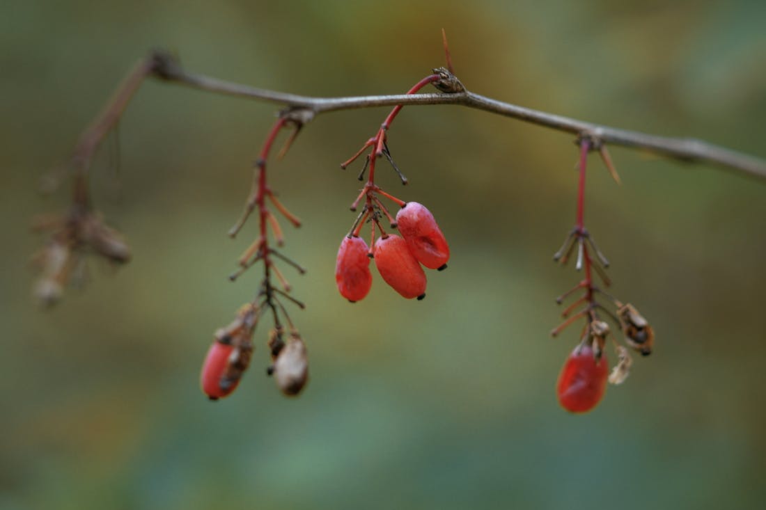 Еще одна морозная ночь. О погоде на Гродненщине 27-29 сентября