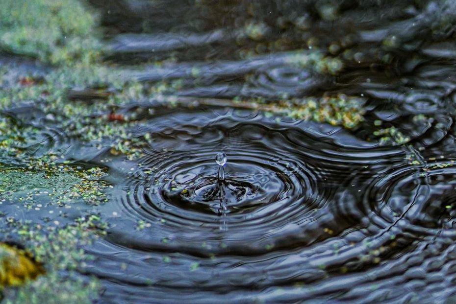 Если этот день выдастся теплым, то лето будет жарким. О погоде на Гродненщине 28-30 мая