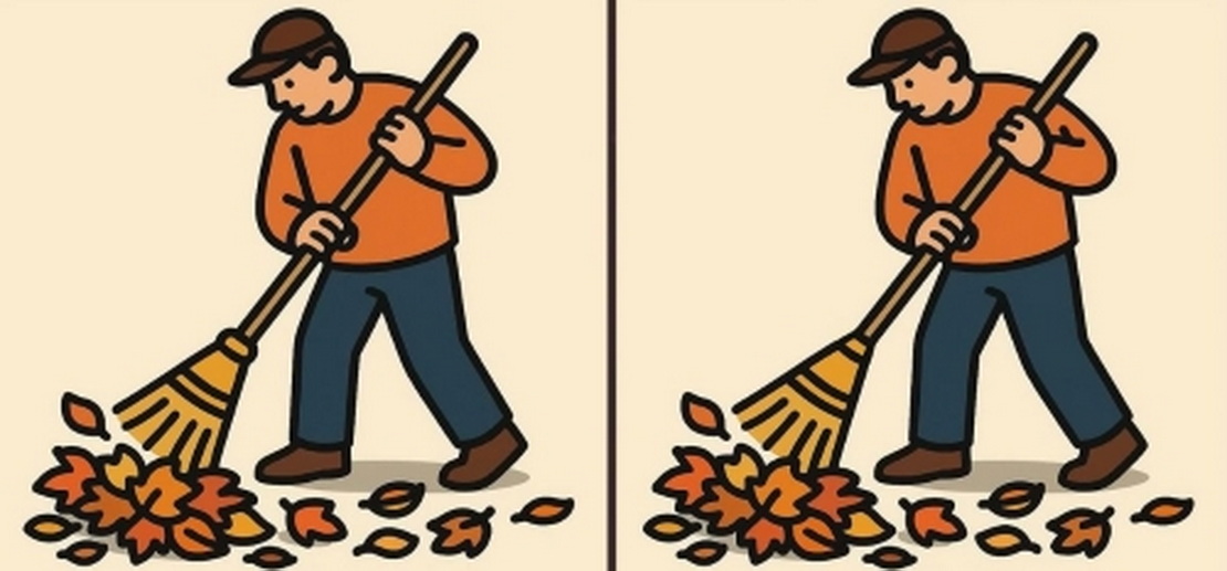 Если найдёте 3 отличия — ваш мозг работает лучше, чем вы думаете