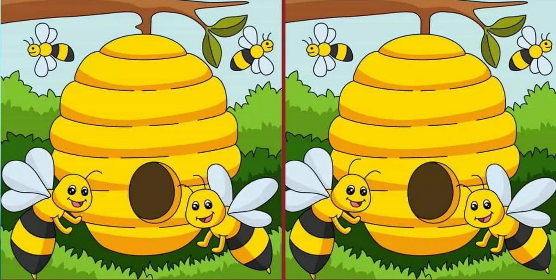 Если увидите на картинке три отличия — у вас феноменальная наблюдательность!