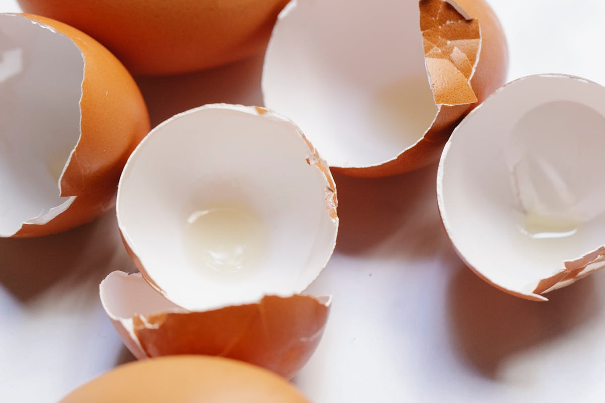 Эта часть яйца считается «чешуей феникса», но большинство ее выбрасывают